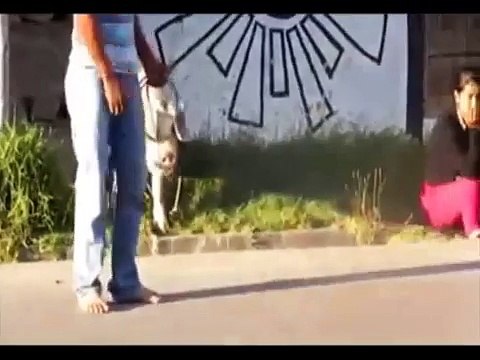 Rondas Urbanas castigan a joven por robar cerdos