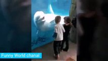 people with Funny animals- ناس مع حيوانات مضحكة- Л