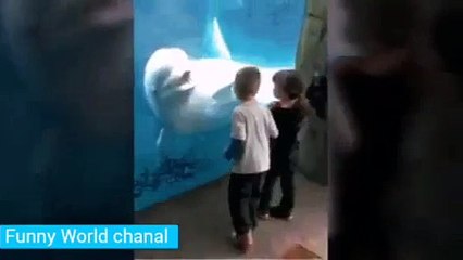 people with Funny animals- ناس مع حيوانات مضحكة- Л