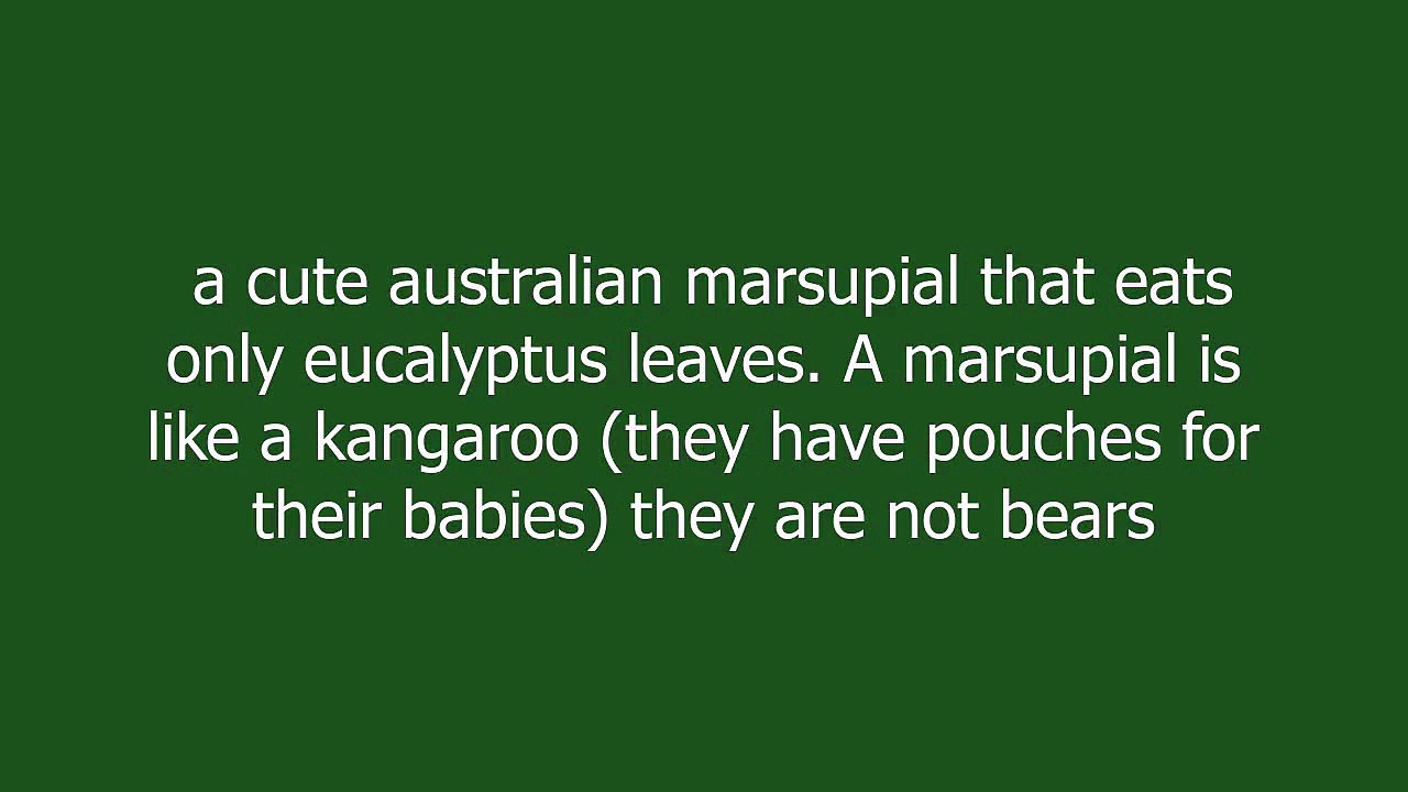 koala meaning and pronunciation