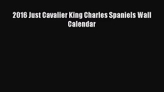 [PDF Download] 2016 Just Cavalier King Charles Spaniels Wall Calendar [Read] Online