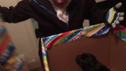 Elle reçoit un chiot pour son anniversaire - réaction magique