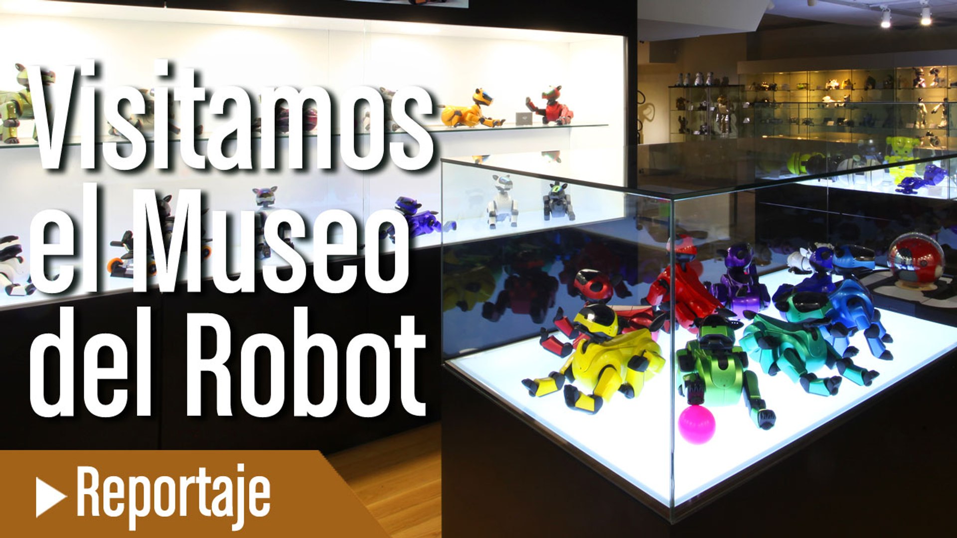 Museo del Robot: 150 piezas de la historia de la robótica - Vídeo  Dailymotion