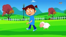 Mary Had A Little Lamb | Nursery Rhyme | Kids Songs and Nursery Rhymes