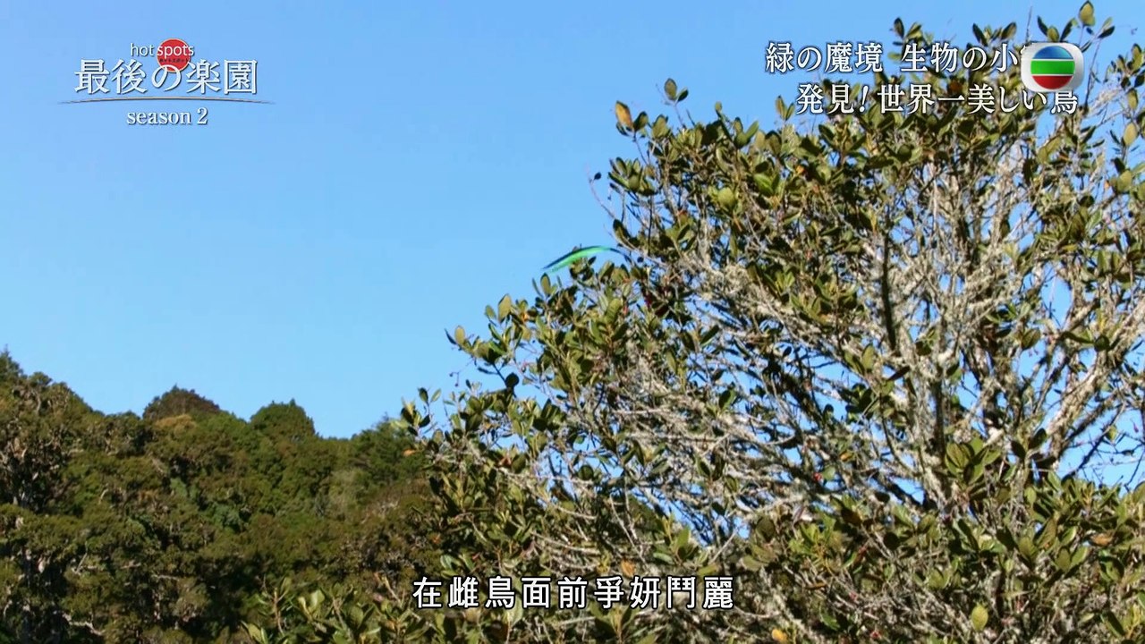 生命動能II 2016-01-17_1080p