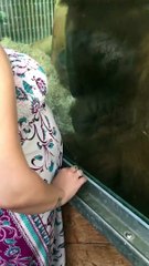 Pregnant    lady puts her belly on the glass