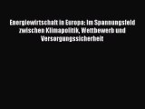 Energiewirtschaft in Europa: Im Spannungsfeld zwischen Klimapolitik Wettbewerb und Versorgungssicherheit