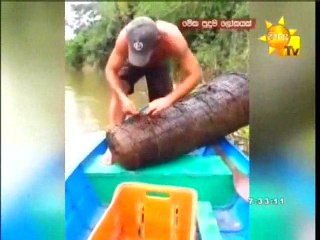 Meka Puduma Lokayak - 19-01-2016