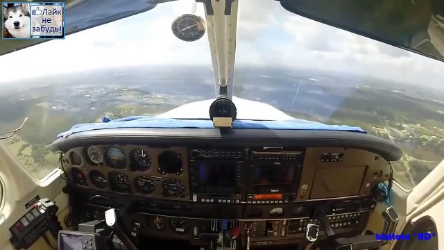 ПТИЦА ЗАЛЕТАЕТ НА СКОРОСТИ 370 КМ/ЧАС РЕАЛЬНЫЙ СЛУЧАЙ