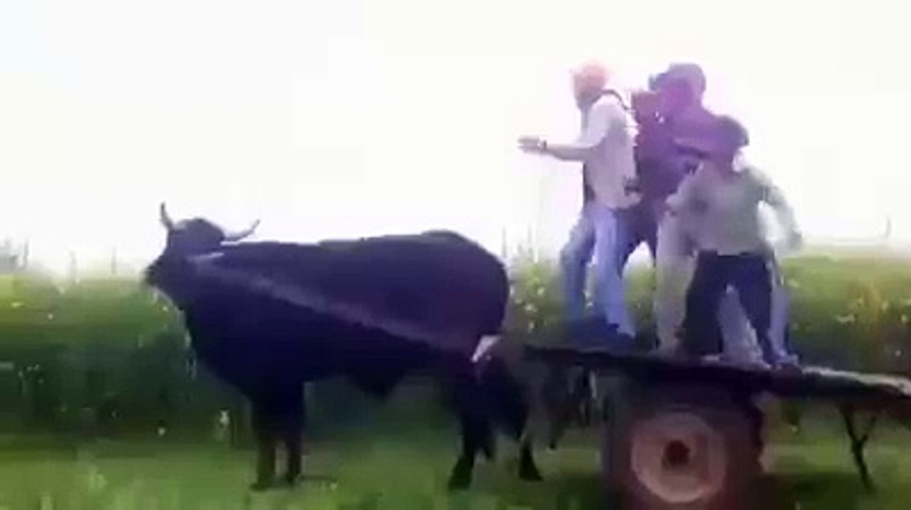 Jattan De Pange