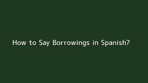 How to say Borrowings in Spanish