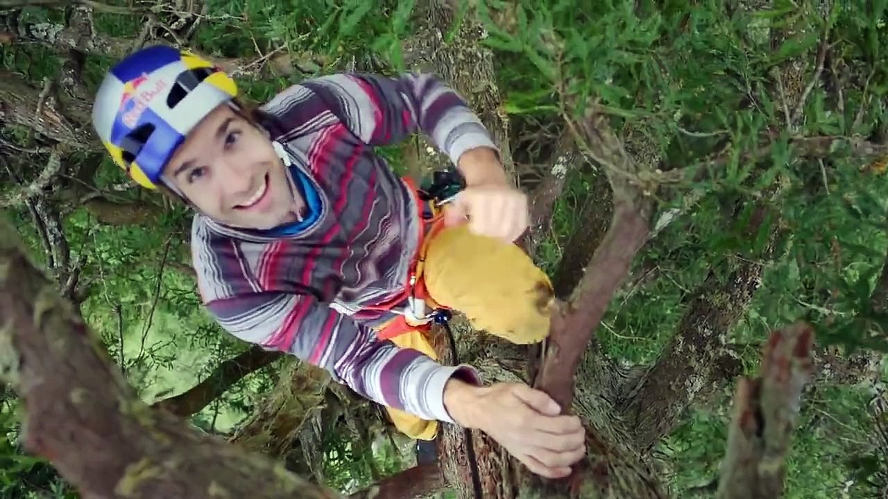 Giant Ascent: Chris Sharma Free Climbs Huge Redwood w/ Help of Scientists
