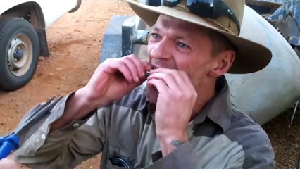 Arrachage de dent avec une pince et un marteau... En mode redneck australien