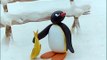 Pingu and the Birds Mother Pingu Official Channel