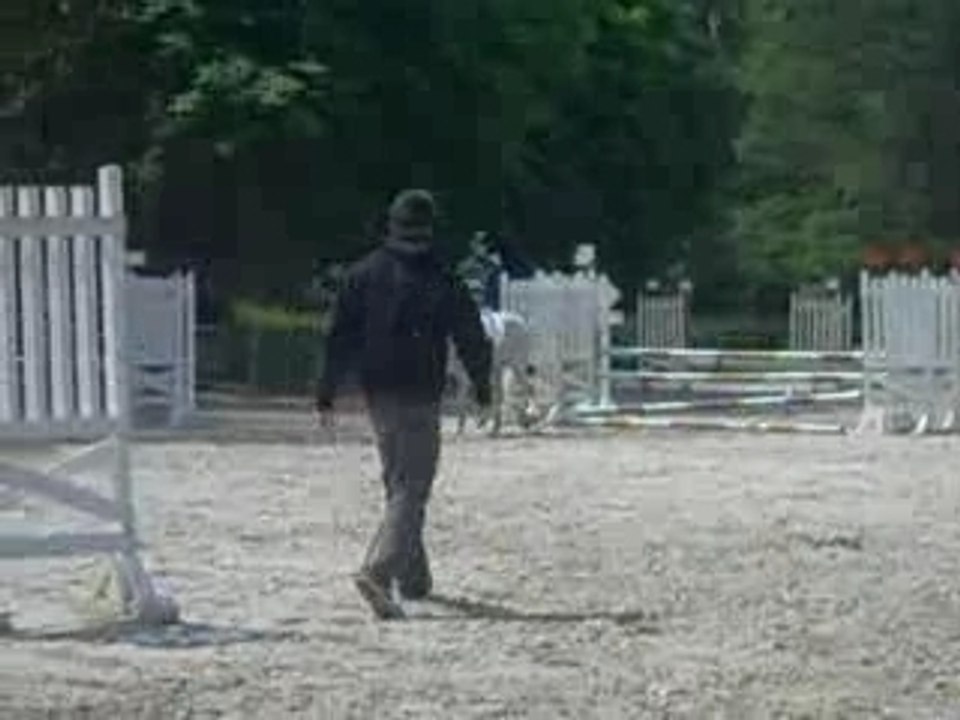 Moi & Enzo CSO Fontainebleau