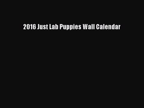 [PDF Download] 2016 Just Lab Puppies Wall Calendar [Read] Full Ebook