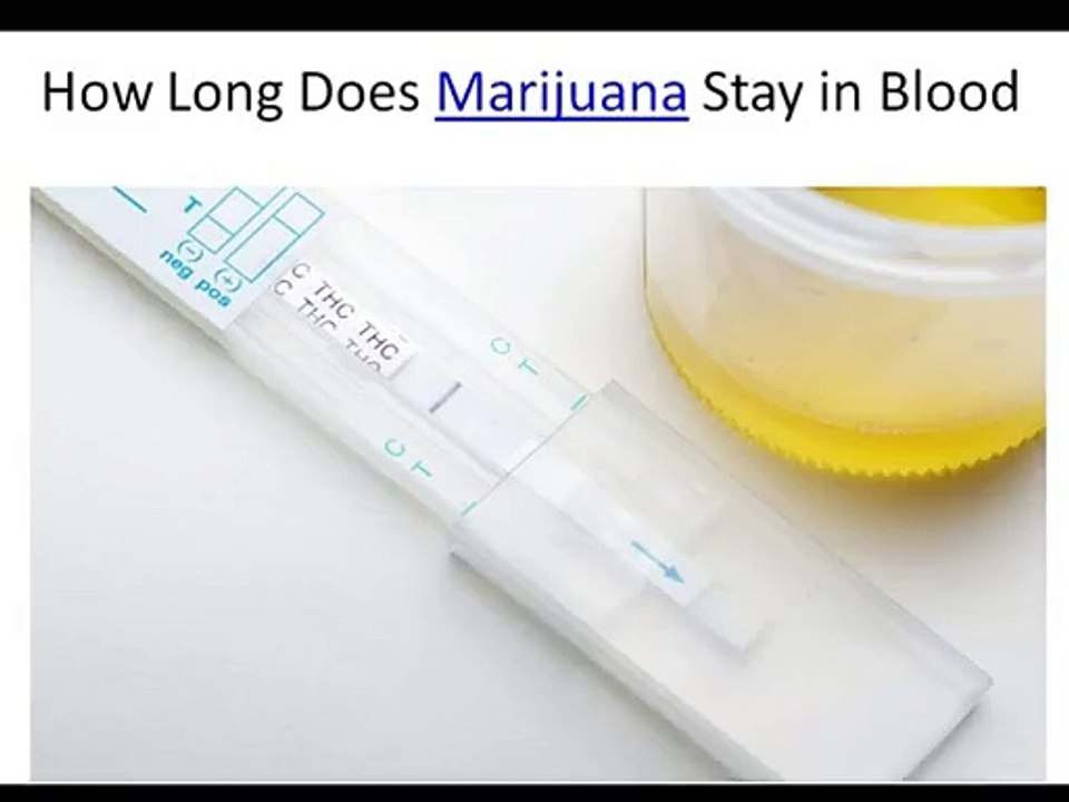 how long does marijuana stay in blood