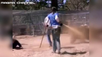 ataque de animales salvajes a seres humanos parte 4
