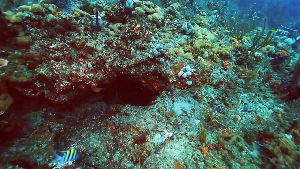 Underwater Time Travel #2