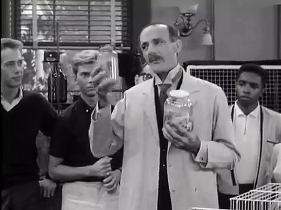 The Many Loves of Dobie Gillis Season 4 Episode 12 Dr Jekyll and Mr Gillis
