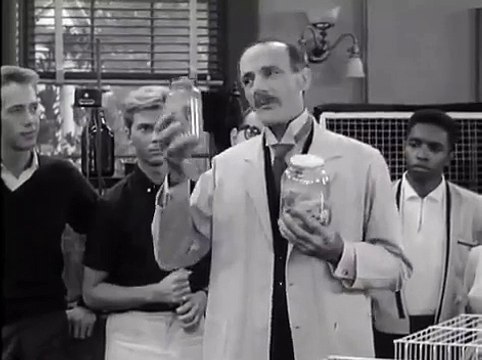 The Many Loves of Dobie Gillis Season 4 Episode 12 Dr Jekyll and Mr Gillis