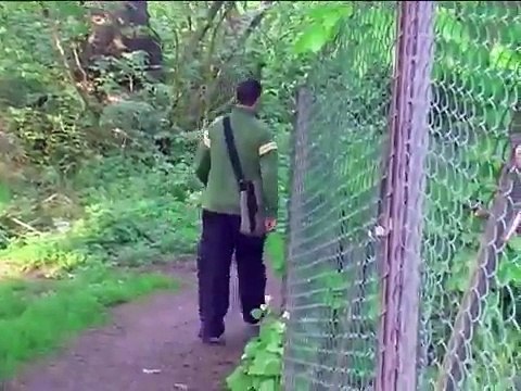 your move short film stevenson college edinburgh non award nominated non award winning