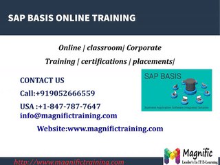 SAP BASIS ONLINE TRAINING IN AUSTRALIA|DUBAI