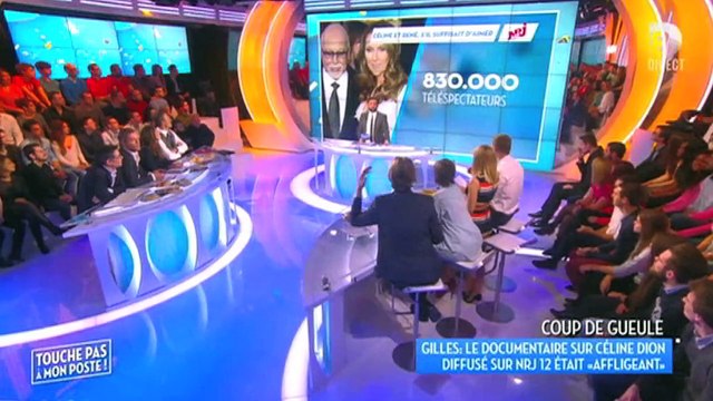 TPMP : Gilles Verdez descend le doc sur Céline Dion produit par Matthieu Delormeau