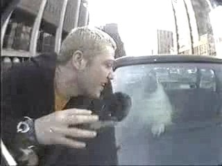 Jackass ~ Bam Margera