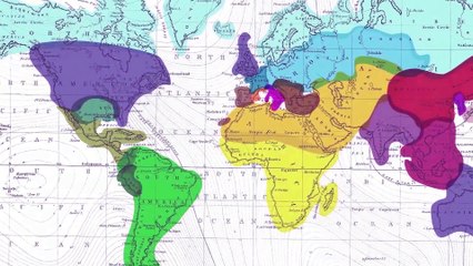 Chicken Teriyaki Brochettes - Culinary Journey Teriyaki Sauce (traditional application)