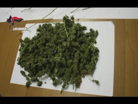 Viterbo - Spaccio di droga e furto: 12 arresti (19.01.16)