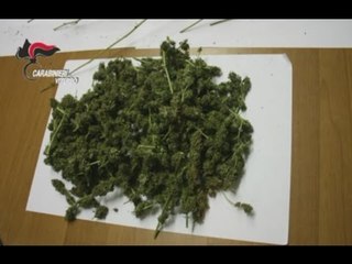 Viterbo - Spaccio di droga e furto: 12 arresti (19.01.16)