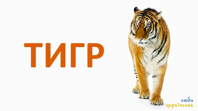 Вивчаємо тварини, мультфільм для малят на україньській мові