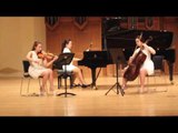 Bramhs Piano Trio No.2 1st 브람스 피아노 트리오 1번 2악장