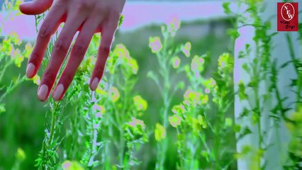 Amrinder Gill - Supna - Full HD Video Song - New Video Song