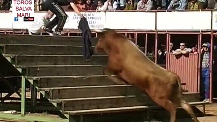 TORO ESCORPION Y MAS IMPRESIONANTES IMAGENES DE HACE 12 AÑOS DE TOROS