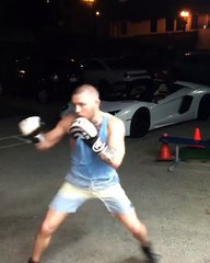 Conor McGregor's Official Response To Rafael Dos Anjos Heavy Bag Video
