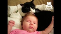 Cat gives baby a tongue bath