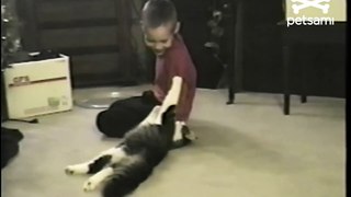 Cat wrestles boy to the ground