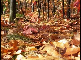 Windows inaczej - odcinek 3.