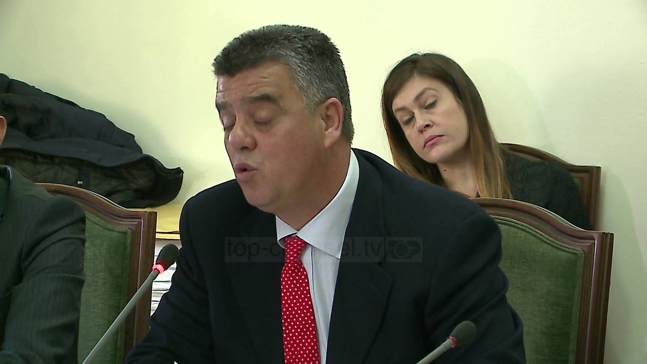Masakra me leje, Koka: Për 8 vjet u shkatërrua 20% e pyjeve - Top Channel Albania - News - Lajme
