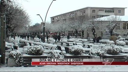Acari siberian “mbërthen” Shqipërinë - News, Lajme - Vizion Plus