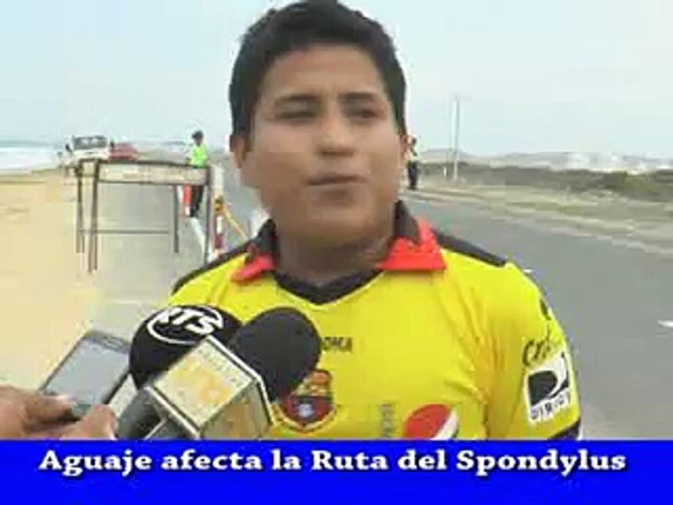 AGUAJE SPONDYLUS