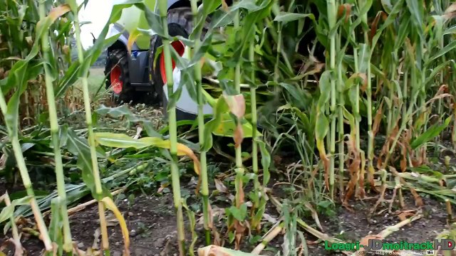 Ensilage de Maïs 2015 | NEW Claas Jaguar 850 & NEW Orbis 600 SD !