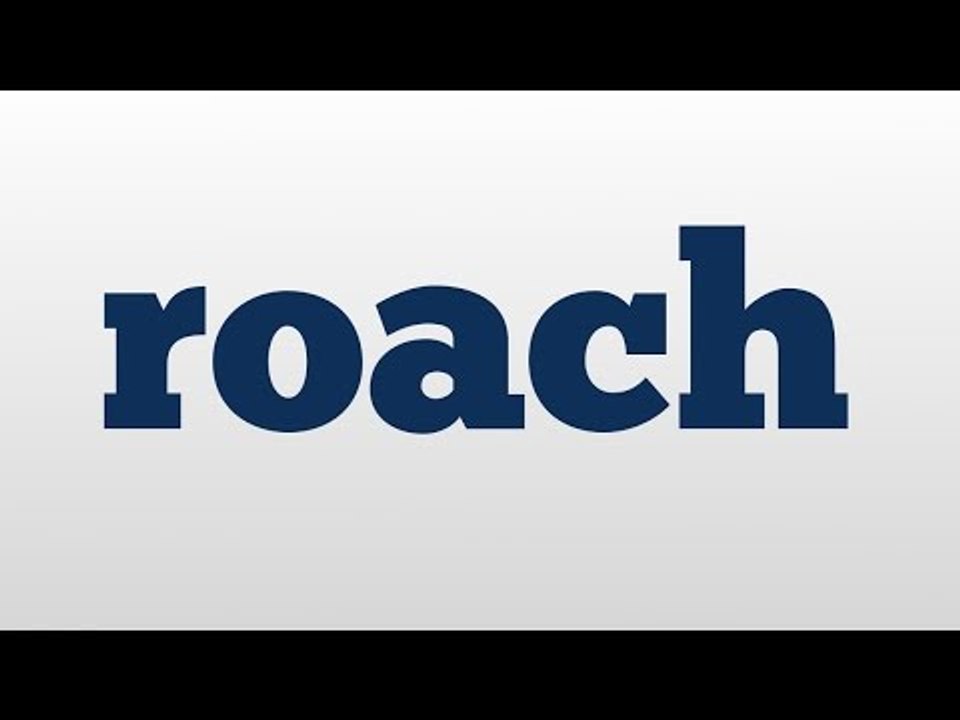 roach meaning and pronunciation