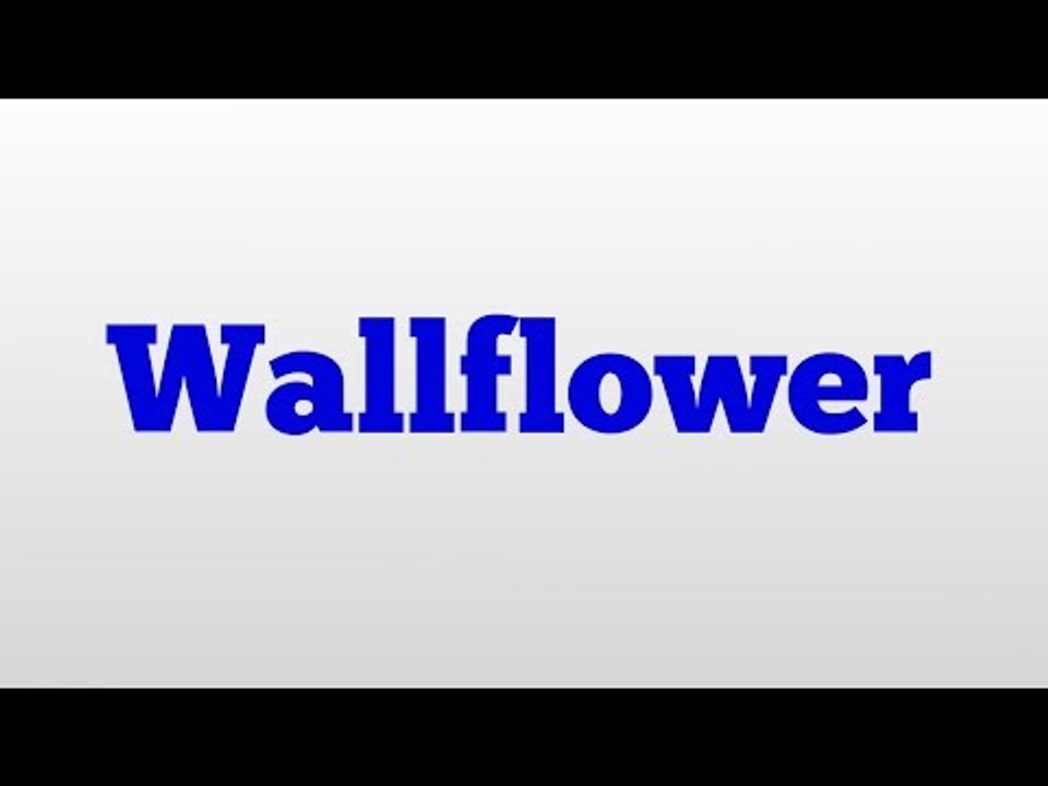 Wallflower meaning and pronunciation video Dailymotion