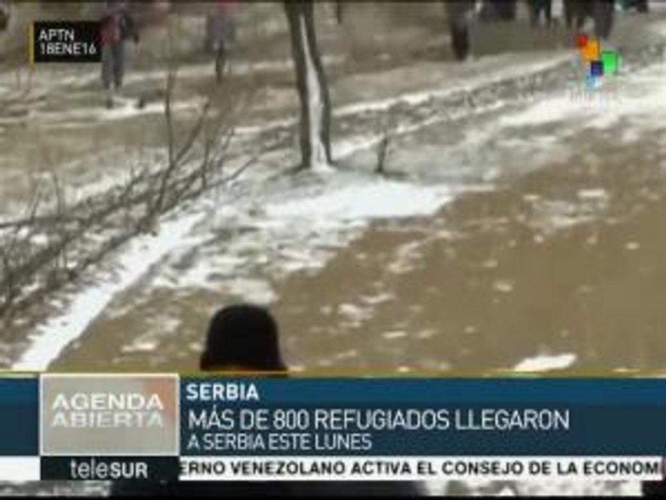 Llegan más refugiados a Serbia provenientes de Medio Oriente