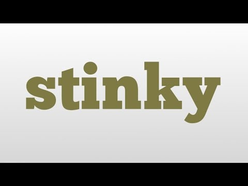 stinky meaning and pronunciation