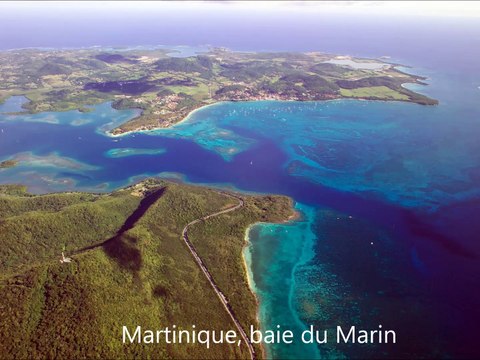 Diaporama photos de présentation du sanctuaire de mammifères marins Agoa dans les Antilles françaises