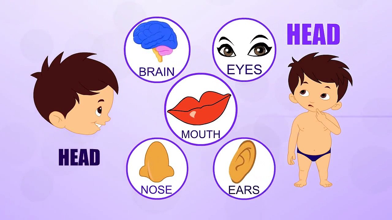 Head Human Body Parts Pre School Know Your Body Animated Videos For Kids